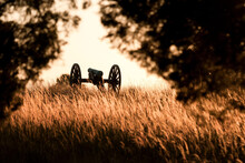 A Cannon In A Field At Manassas National Battlefield.