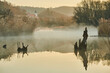 © Designpics - Sunrise and mist above a billabong in the Danube River with old wood; Tegernheim, Bavaria, Germany