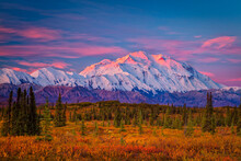 Mount Denali (McKinley) At Sunrise, Denali National Park & Preserve, Alaska, USA