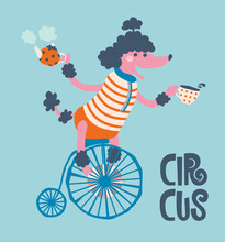 Poster For A Cafe Where A Circus Poodle As A Bartender Rides A Bicycle In A Kettle And A Cup Of Tea Or Coffee