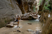 A Young Woman Explores The Upper Reaches Of The Narrows In Zion National Park.