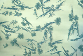 Poster - frost crystal on window glass in winter season