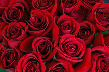 Fotomurales - fresh red roses in a bouquet as background