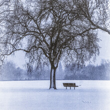 Park Bench Under A Large Tree In A Park Area During A Heavy Snowfall, Clear Lake, Riding Mountain National Park, Manitoba; Manitoba, Canada