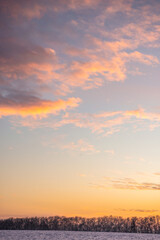 sunset over the field and forest 