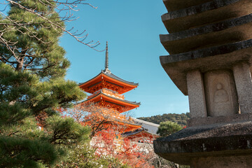 Poster - Kiyomizu-dera Temple in Kyoto, Japan