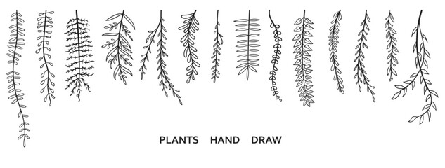 Set collection plants flowers and leaves hand draw vector. Drawing beautiful creeper leaves, decorative set with flowers and leafs