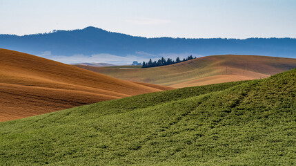 landscape scenes in palouse washington
