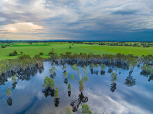 Aerial View Of A Dark Stormy Sky Over Gum Trees And Flooded Farmland