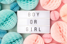 Boy Or Girl. Lightbox With Letters And Tissue Paper Balls In A Pink And Blue Colors. Gender Reveal Party Concept.