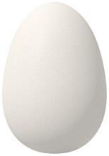 Perfect Chicken Egg Standing Isolated 3D