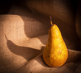 One fresh pear on burlap .