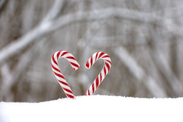 Wall Mural - Christmas candy canes on the snow in winter forest. Background for New Year celebration, cold weather