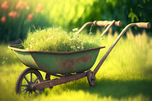 Four-wheeled Metal Wheelbarrow With Growing Grass In Garden