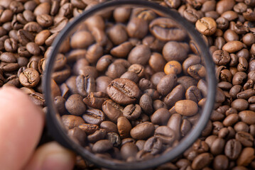 Canvas Print - Magnifying glass on coffee beans. Concept of studying coffee, its compound, effect of human body