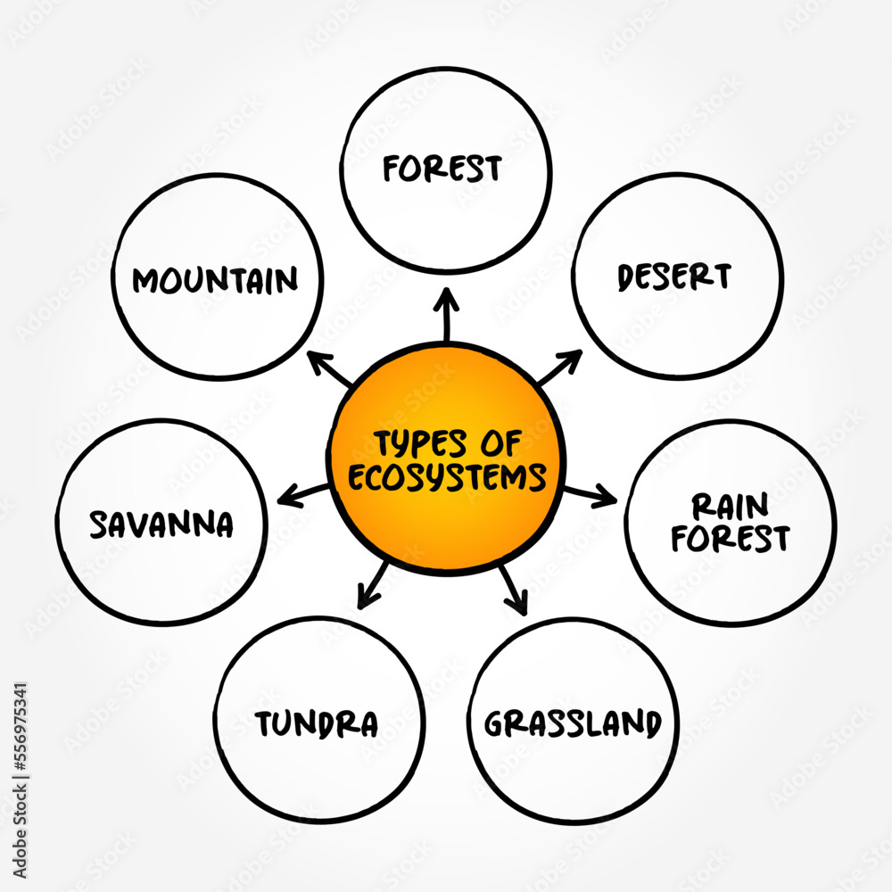 Main types of Ecosystems (consists of all the organisms and the ...