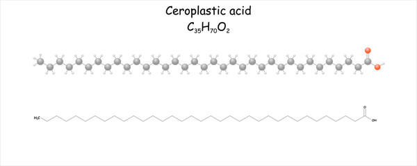 Wall Mural - Stylized molecule model/skeletal formula of ceroplastic acid.