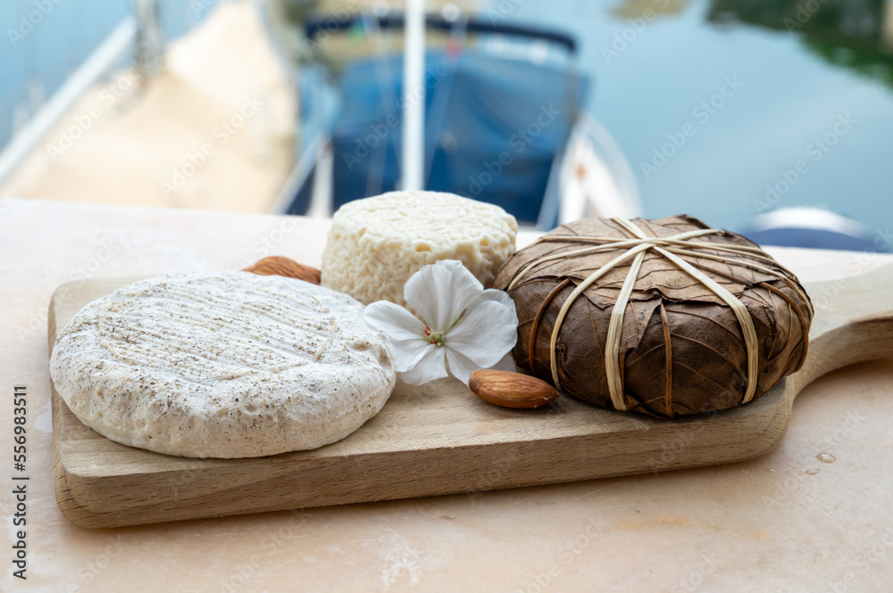 Taste of France, small round cheese Tome de Provence, matured small goat cheese and mountains cheese banon wrapped in chestnut leaves, Alpes-de-Haute-Provence, France
