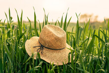 A Straw Hat Sitting On Grass In A Field In Caracal. 
