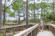 © Margaret Burlingham - A man walking on a boardwalk in a pine forest in a park in Florida.