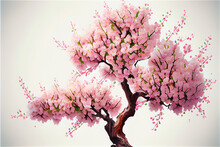Cherry Tree In Full Bloom With Lots Of Pink Blossoms Ideal For Backgrounds