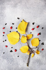 Sticker - Branch with yellow leaves and berries on grey textured table, flat lay