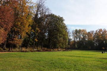 Wall Mural - picturesque view of park with beautiful trees and green grass on sunny day. autumn season