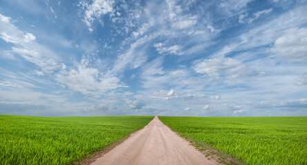 country road looking into the distance through a field and a meadow with green grass