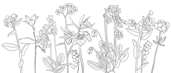 Sticker - vector drawing natural background with wild flowers, flowering meadow, black and white coloring page, hand drawn illustration