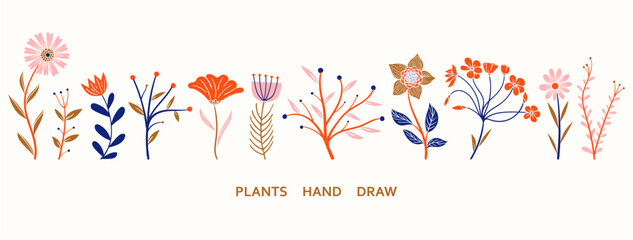 Wall Mural - set collection plants flowers and leaves - hand draw vector. Drawing beautiful plants, and decorative set with colours