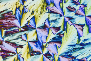 Wall Mural - Colorful micro crystals in polarized light. Photo through a microscope