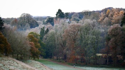 Poster - Woodland Walk in Winter Frost