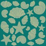 Fototapeta Łazienka - Trendy pattern with hand drawing sea creatures shells and starfish vector