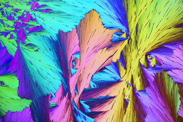 Wall Mural - Colorful micro crystals in polarized light. Photo through a microscope