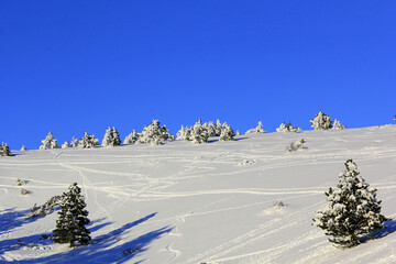 Poster - traces sur la neige