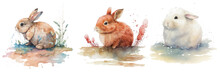 Safari Animal Set White, Brown And Red Rabbits In Watercolor Style. Isolated Vector Illustration