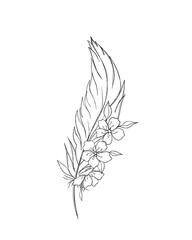  Line art illustration of feather with flowers - tattoo idea