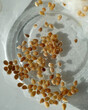 obtaining tomato seeds,seeding process,dried tomato seeds close-up,