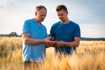 Poster - Ausbilder in der Landwirtschaft zeigt seinen Auszubildenen das reife Getreide am Rande eines Getreidefeldes.