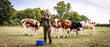 canvas print picture - Junge zufriedene Landwirtin steht mit Kühen auf einer Weide.