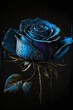 Beautiful splatter oil painting of a blue rose isolated on black background