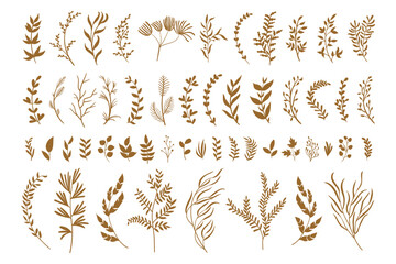 Wall Mural - set collection plants leave hand draw vector. Drawing beautiful creeper leaves, decorative set	