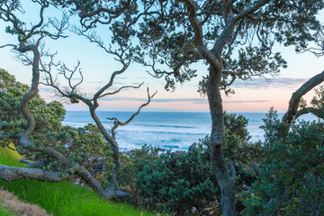 Canvas Print - Mount Maunganui landscape at sunrise