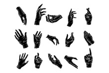 Hands Poses. Male Female Hand Holding And Pointing Gestures, Fingers Crossed, Fist, Peace And Thumb Up. Cartoon Human Palms And Wrist Vector Set. Communication Or Talking With Emoji For Messengers