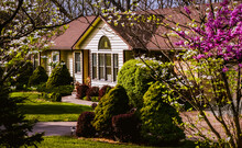 View Of Suburban Midwestern House In Spring; Landscaped Yard With  Redwood And Dogwood Trees In Foreground