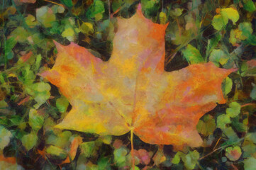 Wall Mural - Big autumn maple leaf of the grass