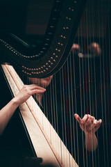 Wall Mural - Musician playing the harp indoor concert background abstract people performing music instruments in symphony orchestra