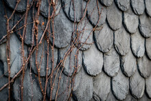 Old Stone Wall With Scales - Hokkaido Japan