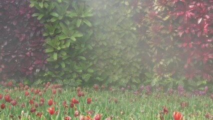 Wall Mural - tropical colorful Bromeliad and tulip flower leaves decorating in garden park