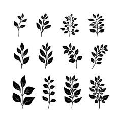 Set of black silhouettes of minimalistic branches, leaves for logo or tattoo, wedding herb. Botanical rustic greenery. Tree art design. Isolated on white background.